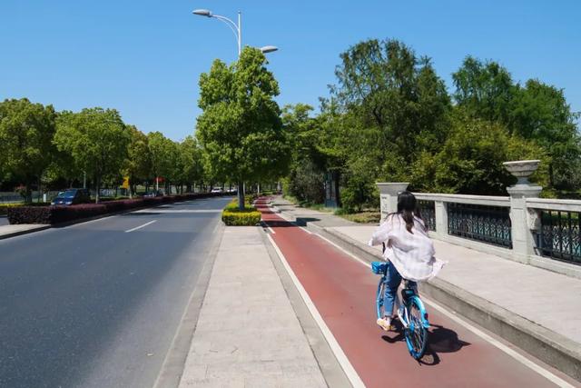 赏花|采摘、野餐、骑行、赏花！五月，我在松江等你