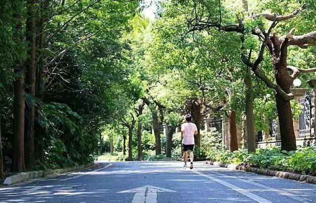 赏花|采摘、野餐、骑行、赏花！五月，我在松江等你