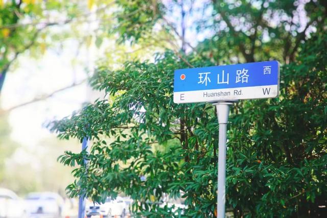 赏花|采摘、野餐、骑行、赏花！五月，我在松江等你