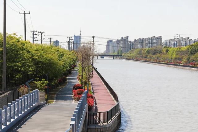 赏花|采摘、野餐、骑行、赏花！五月，我在松江等你