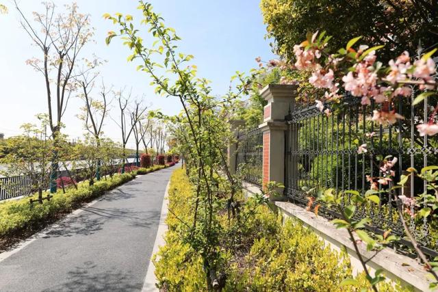 赏花|采摘、野餐、骑行、赏花！五月，我在松江等你