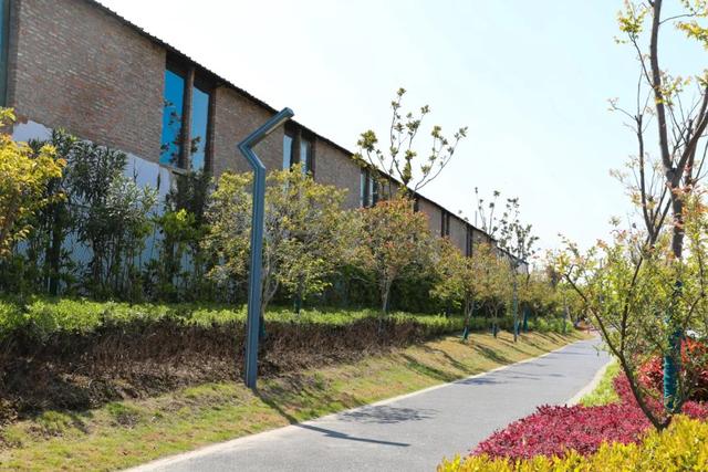 赏花|采摘、野餐、骑行、赏花！五月，我在松江等你