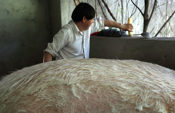 活动地块|5·12汶川地震十三周年，回忆那些未曾忘却的事和人