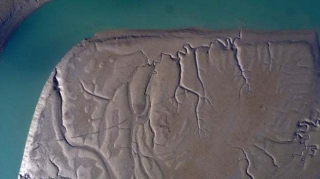 世界自然保护联盟|还想翻盘！韩国滩涂申遗被联合国退回，政府表示不打算放弃