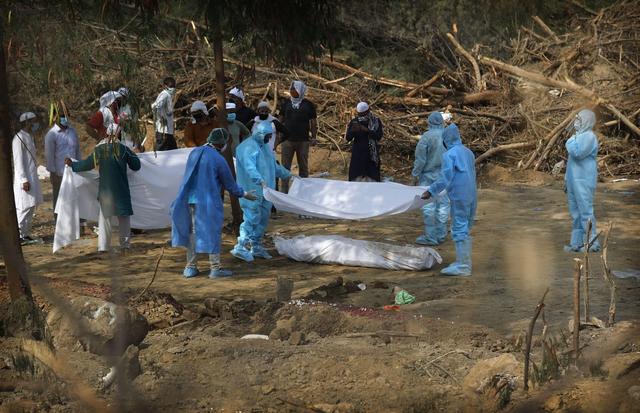 新冠|印度议员称每天喝牛尿所以没得新冠 此前声称牛尿能治癌症