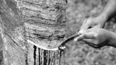 肝叶切除|悲痛！三天痛失四位国之栋梁 值得大家永远铭记