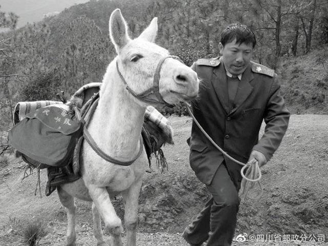 感动中国人物|感动中国的邮递员王顺友去世！永不凋零的大凉山索玛花