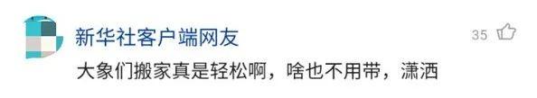 美味|象群最新现身地:4吨美味只剩残渣 网友:是来昆明避暑吗?
