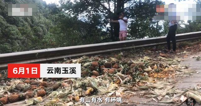 菠萝|网络主播吃播象群吃剩的菠萝 网友反感什么都可以直播?