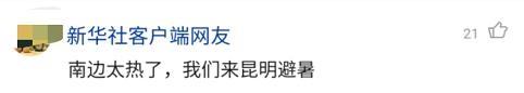 野象|象群逼近昆明预计将进晋宁区 视频拍到传说中的＂警戒象＂