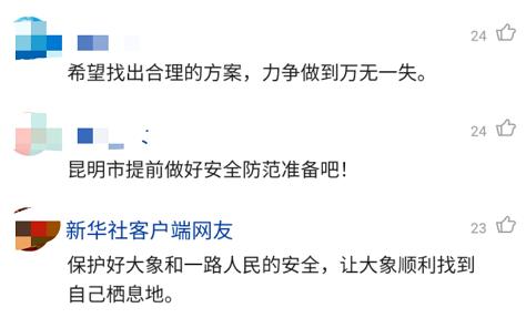 野象|象群逼近昆明预计将进晋宁区 视频拍到传说中的＂警戒象＂