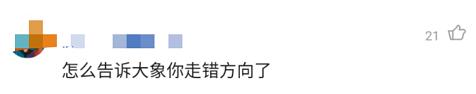 世界自然保护联盟|云南“堵象人”4天吃住在车上 尝到农作物甜头进村日益增多