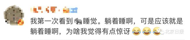 共同富裕|无人机拍下野象群睡觉休息画面 挤在一堆象宝宝睡中间