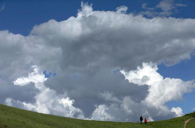 狂犬病毒|为防控狂犬病,美将禁止来自113国的狗进入美国!包括俄罗斯、中国、印度等国家