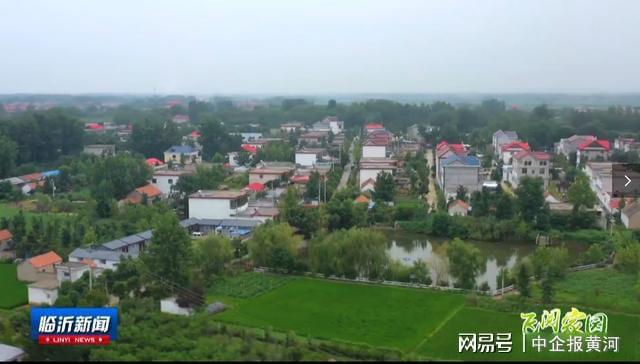 本科生|山东一村庄出16名博士30多名硕士 村里不比谁有钱比孩子谁家优秀