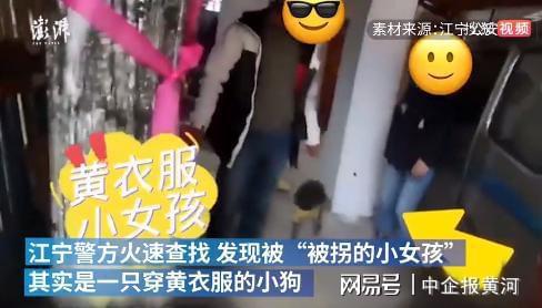 市民报警|疑似被拐小女孩其实是小狗 小狗穿着黄衣服被捂嘴