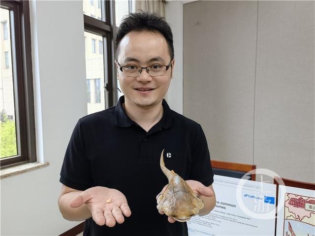 边城|重庆发现4.23亿年前袖珍边城鱼 为人类的演化提供重要化石实证