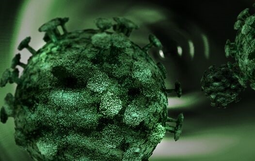 CSIR|印度发现变异株“Delta-plus” 已有20人感染！