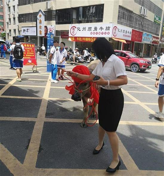 图源|霸气!高考654分 广东一家长送牛感谢学校