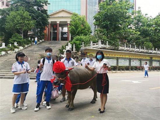 图源|霸气!高考654分 广东一家长送牛感谢学校