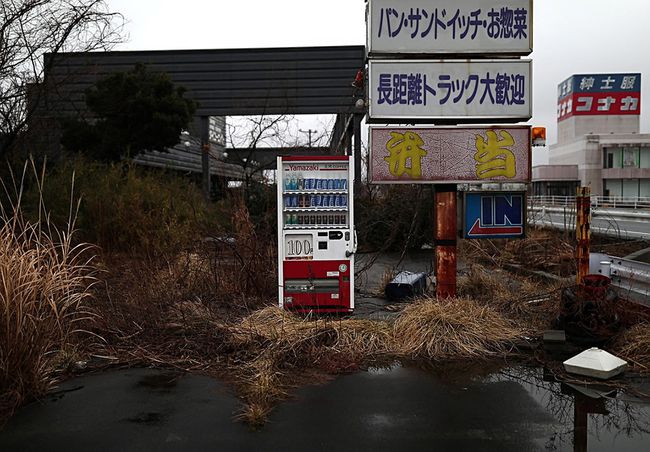 家猪|可怕！日本福岛出现放射性杂交野猪，科学家警告人猪冲突