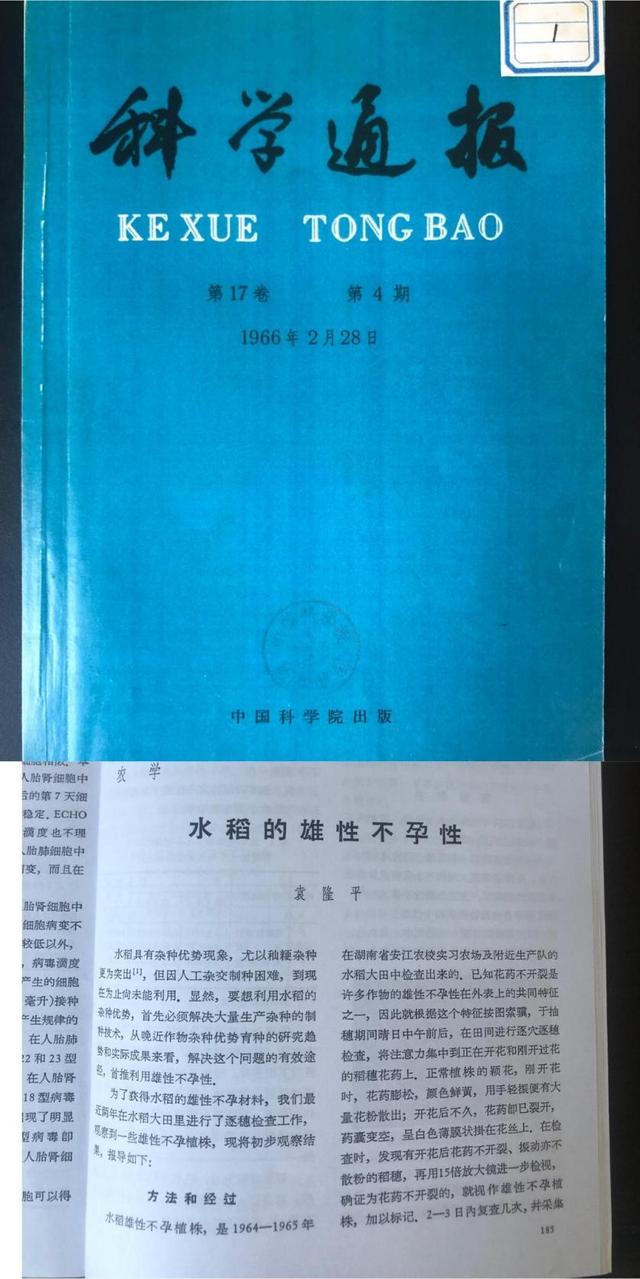 天然杂交|揭秘！袁隆平杂交水稻论文原始手稿写了啥