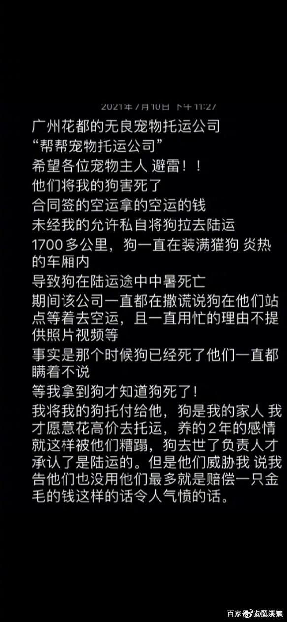 徐冬冬|指责宠物托运公司漠视生命！陈乔恩为金毛siri发声