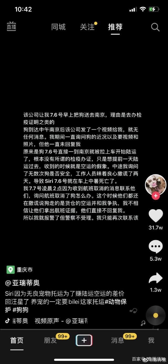 徐冬冬|指责宠物托运公司漠视生命！陈乔恩为金毛siri发声