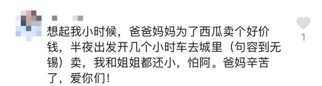 视频拍摄|泪目！路灯下卖西瓜的父亲看哭网友：父母为我们撑起了一片天
