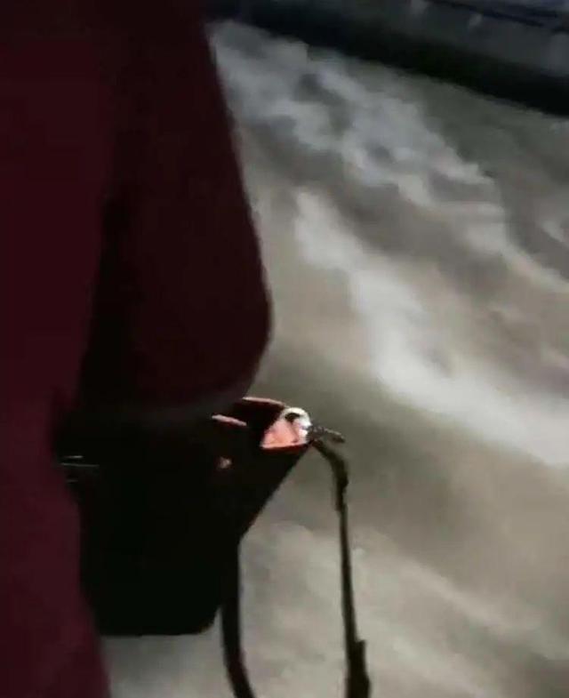 失联|期盼奇迹！上海女子赶赴郑州地铁5号线寻夫