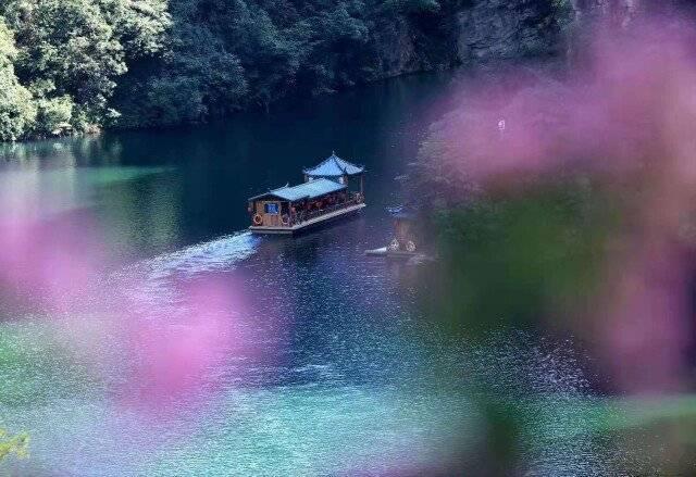 游客接待量|张家界市所有景区景点将关闭 多地已不建议前往张家界市