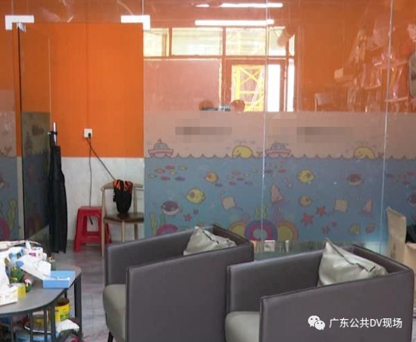 小女孩|东莞一女孩宠物店推门夹死小猫，店长发声：已报警