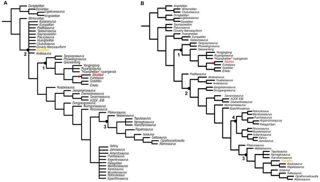 丝路|中国丝路巨龙、新疆哈密巨龙 新疆哈密首次发现大型恐龙化石