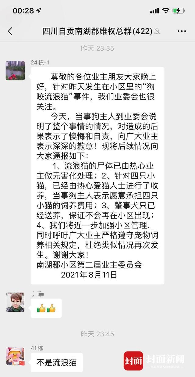 猫咪|交警放任爱犬咬死猫咪被停职 声称＂弄不住＂邻居指责男子根本没有制止