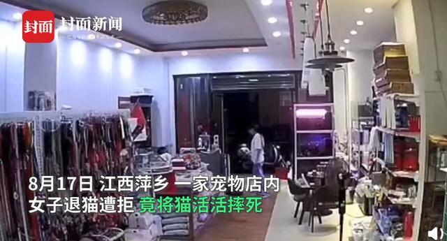宠物店|太残忍！江西一女子宠物店退猫遭拒，当场把猫摔死