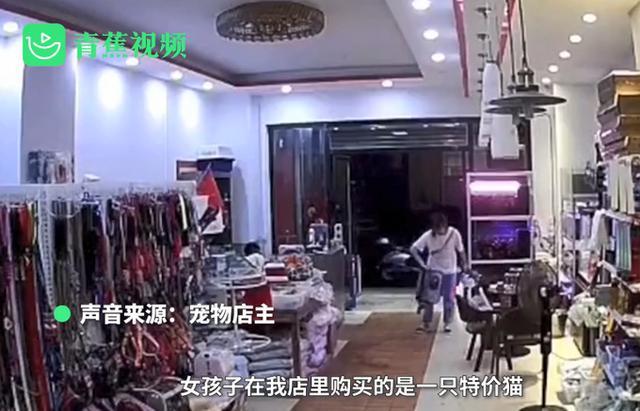 宠物店|太残忍！江西一女子宠物店退猫遭拒，当场把猫摔死