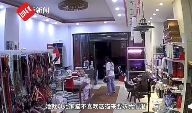 宠物店|太残忍！江西一女子宠物店退猫遭拒，当场把猫摔死