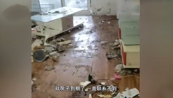 情侣|愤怒！南京90后情侣退房后把边牧遗弃在出租屋，毛里面竟然还有蛆