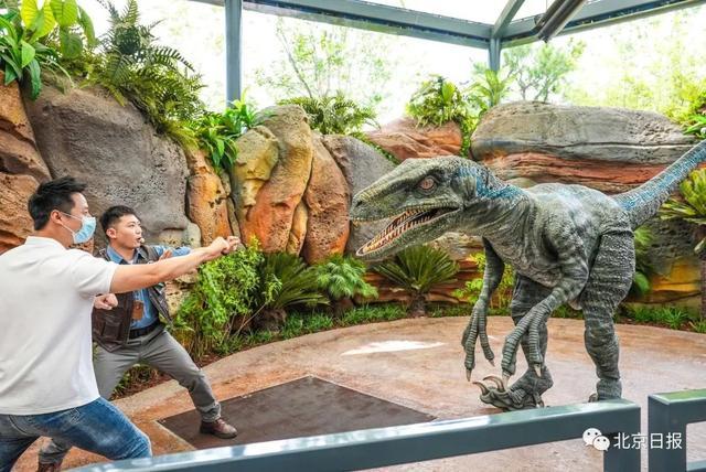 试运行|北京环球度假区将于9月1日试运行 园区场景游乐设施先睹为快