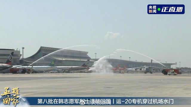 塔台|铁血今犹在，山河已无恙 送烈士回家的塔台对话听到泪目