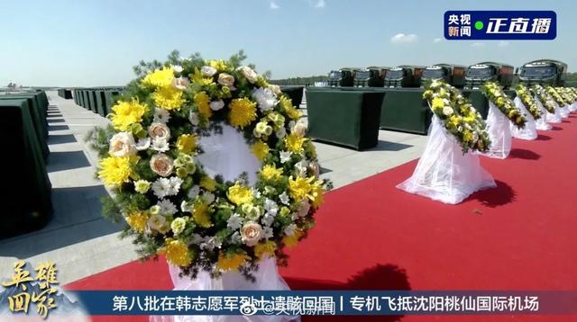 塔台|铁血今犹在，山河已无恙 送烈士回家的塔台对话听到泪目