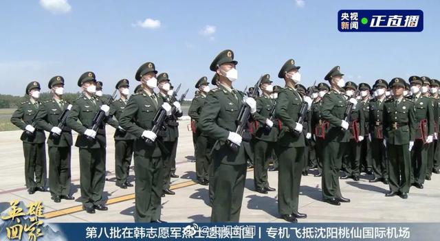 塔台|铁血今犹在，山河已无恙 送烈士回家的塔台对话听到泪目