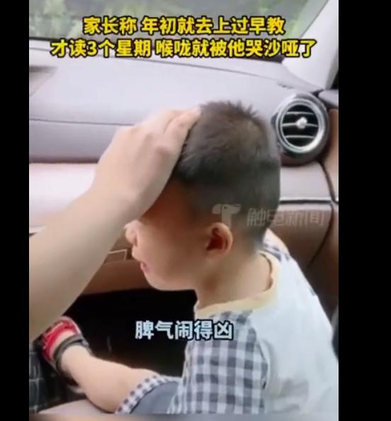挡风玻璃|嗓子都哭哑了！福建漳州一2岁宝宝不愿上早教，撞裂挡风玻璃