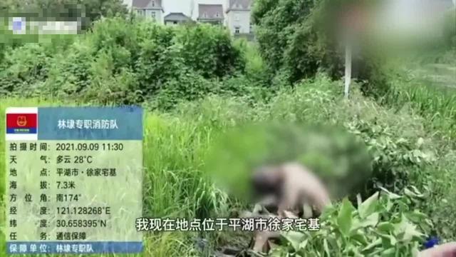 爱好者|男子钓鱼触到电线 全身几乎被烧黑 衣服全碎了