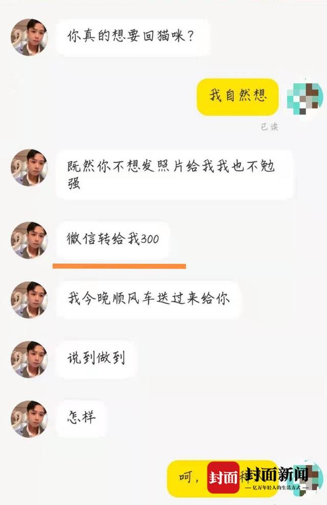 男子|聊天记录曝光！男子收养猫咪后向原主人索要裸照 未果以虐猫要挟