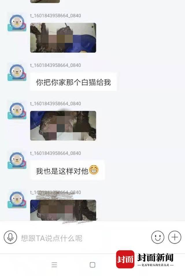 男子|聊天记录曝光！男子收养猫咪后向原主人索要裸照 未果以虐猫要挟