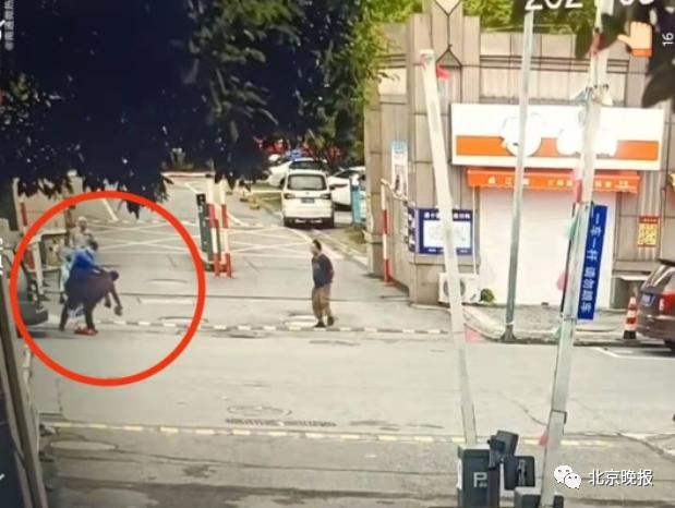 处分|当事协管员被解除劳动关系、多人被处分！南通通报协管员拎摔卖菜老太