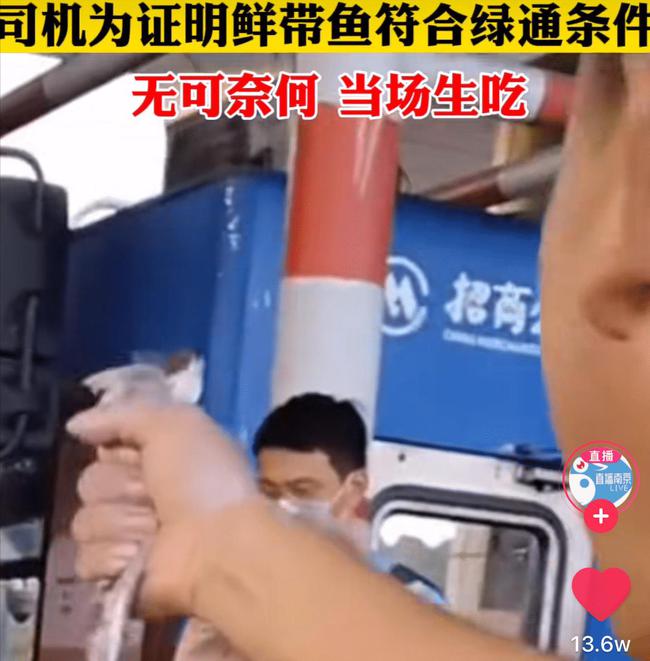 带鱼|高速收费口生吃带鱼司机发声:不是恶意炒作,是被逼无奈