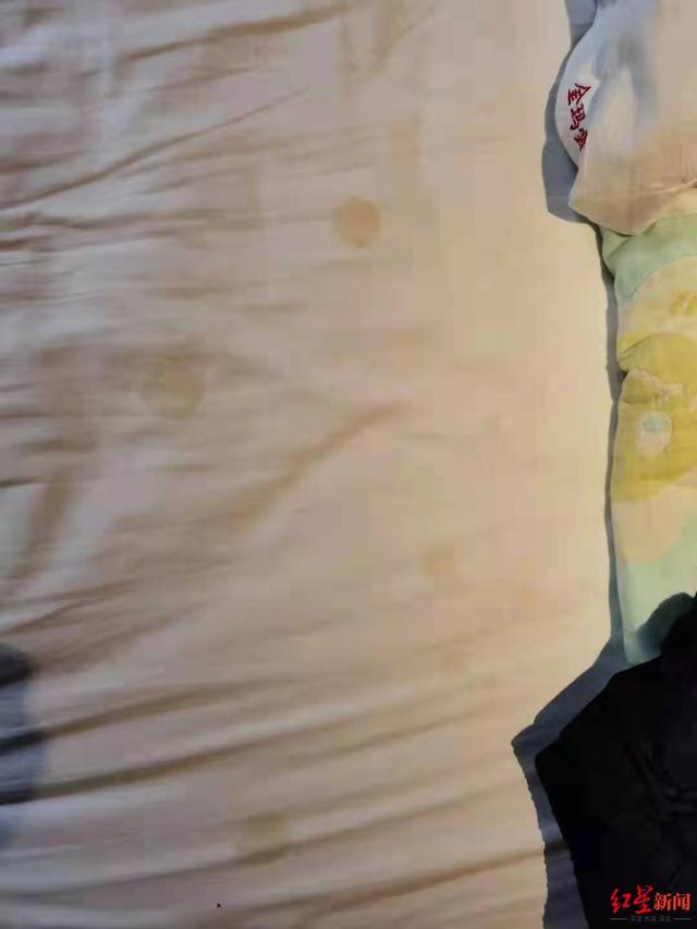 导游|参团游九寨沟景区大门都没看到 旅行社称这是最好的团