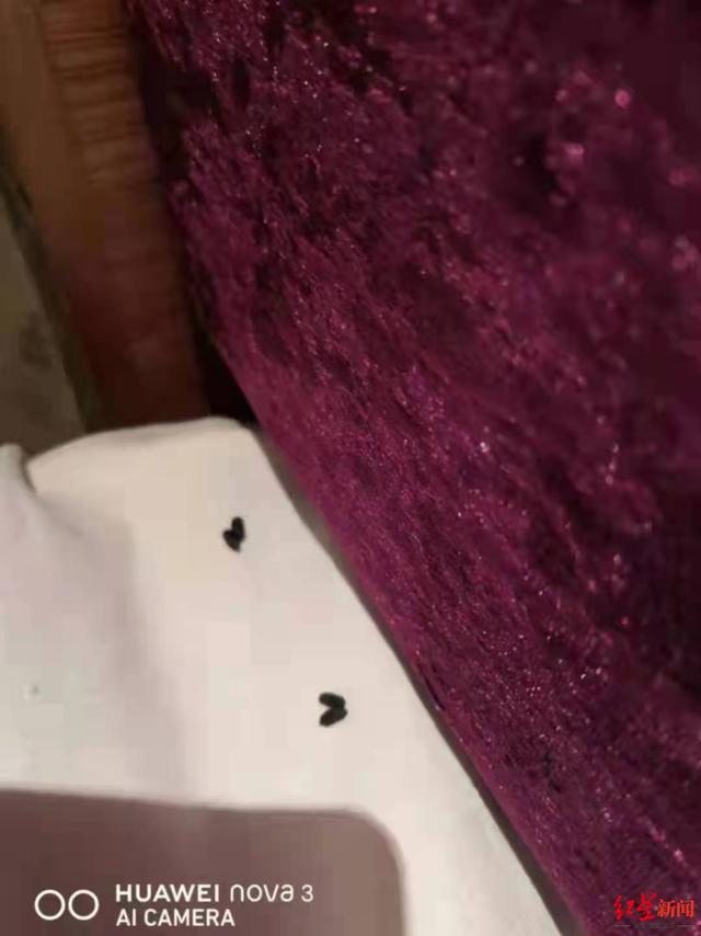 导游|参团游九寨沟景区大门都没看到 旅行社称这是最好的团